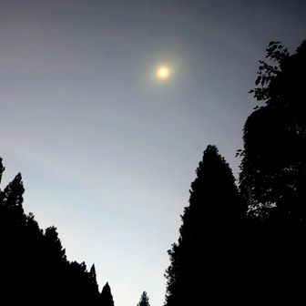 今日はただいま金剛山
久しぶりに太尾60斬りで自分の体力を確かめようかなと思いながらやってきました水越峠、でも

あ！！ヘッデン忘れた！
涸沢で学んだ月明かりを信じたい！
果たして・・・🥸
アカン、今日は三日月やわ🌛

太尾の取付きは暗黒でした笑　コワ👹
明るくなる前にそそくさとダイトレに向かいます
60斬りチャレンジしなくて済んだと
セルフほッとした←