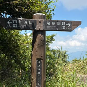 猪鼻砦(丸鉢山)