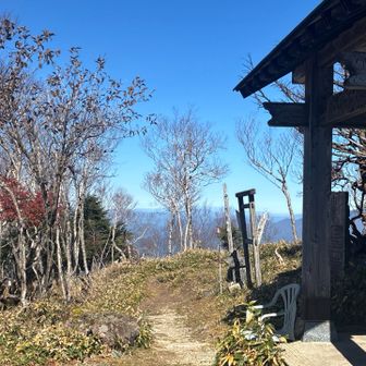 山頂は葉が落ちて冬の準備中