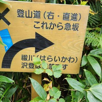 さてさて、急坂の始まり始まりぃ～⤴️
ワクワクしてる私がいる😏
