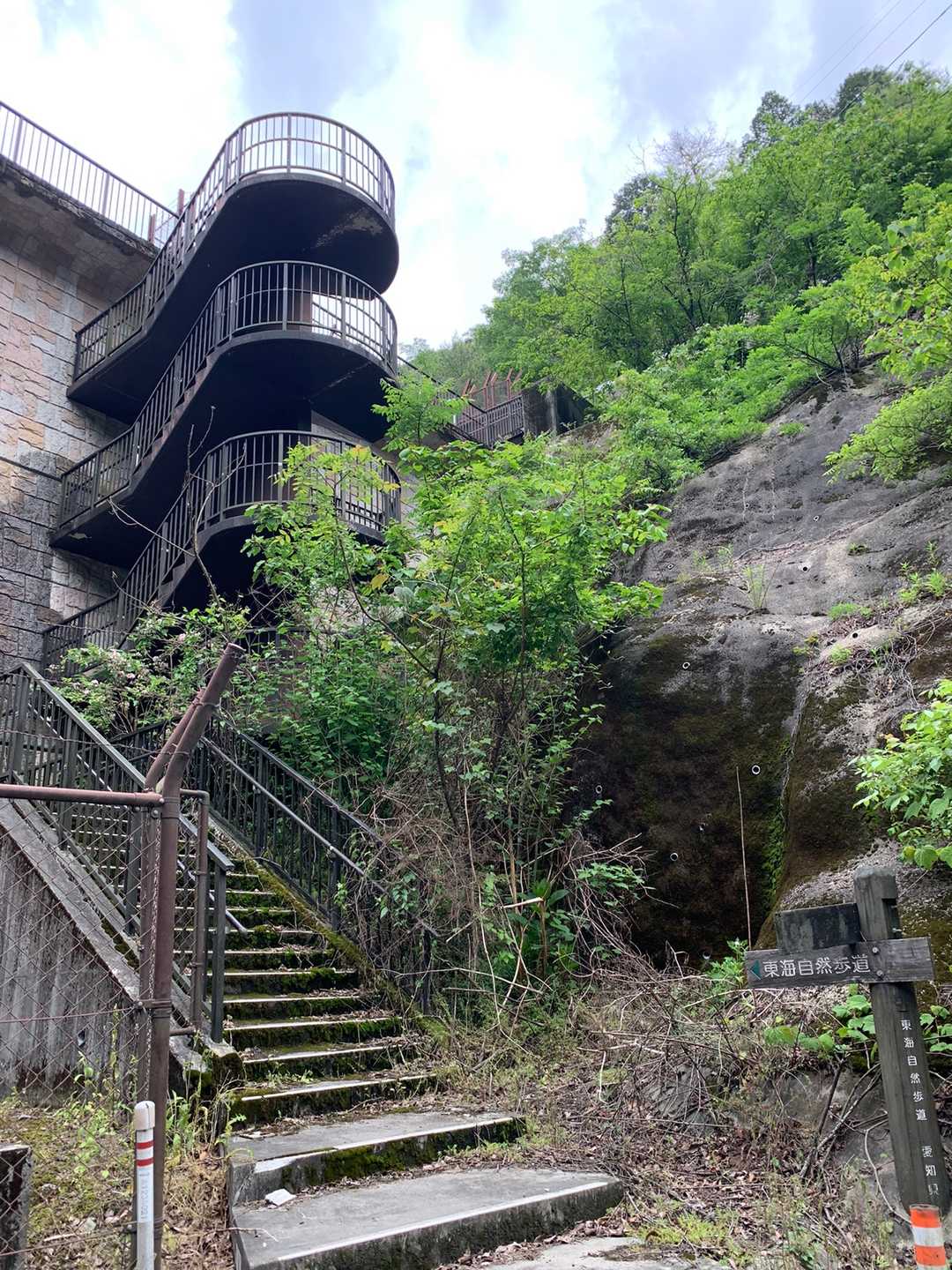この階段を登るよ
これも東海自然歩道なんだね☝️