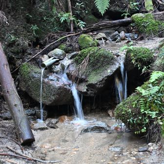 岩屋峠コース、下の水場