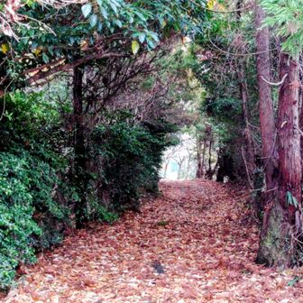 ２度目のトンネル⤴️