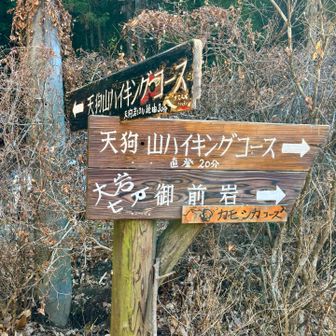 天狗山までは楽じゃないと思っていたけれど看板に「直登」と書いてあった😅