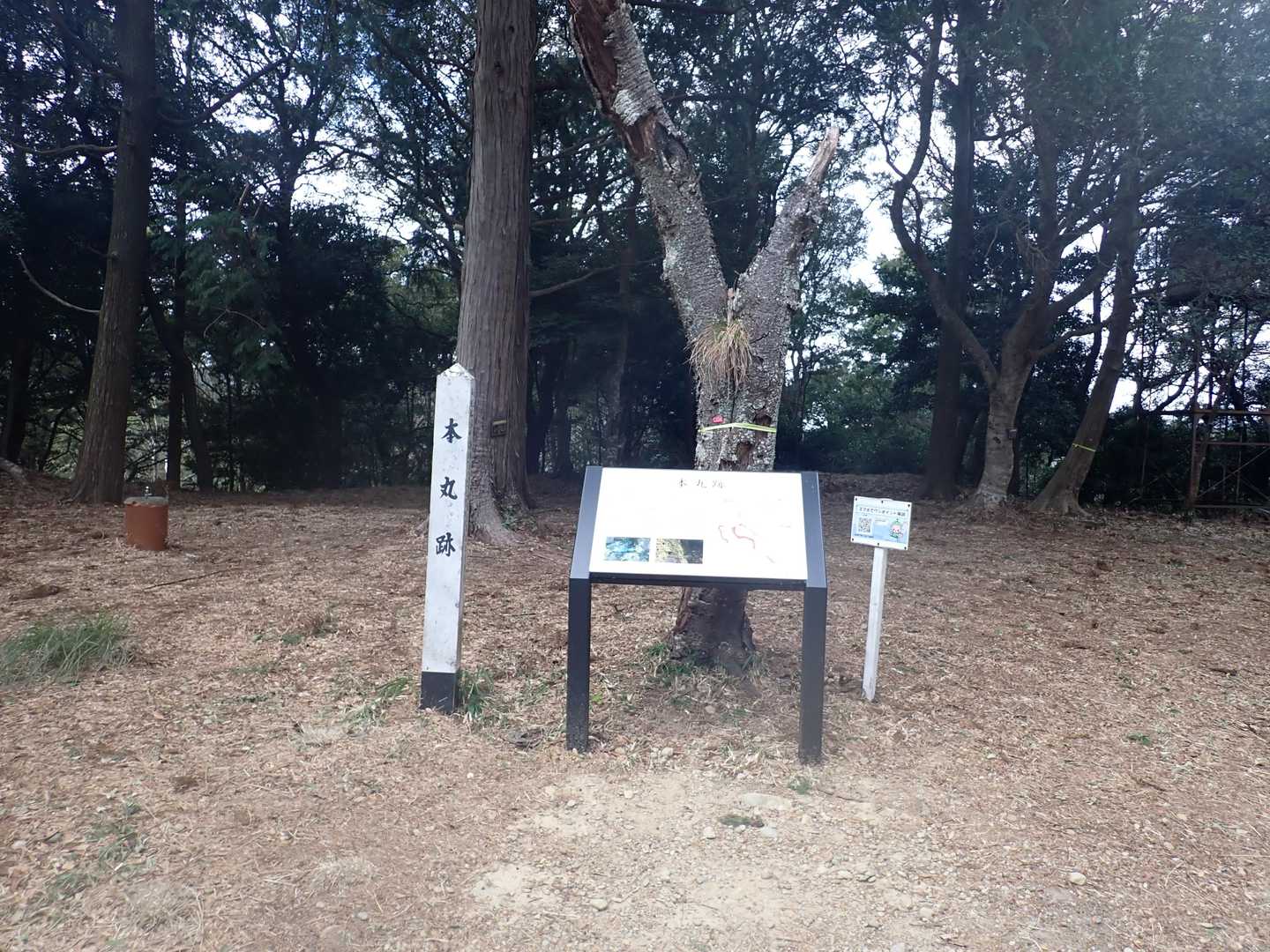 高天神山山頂付近