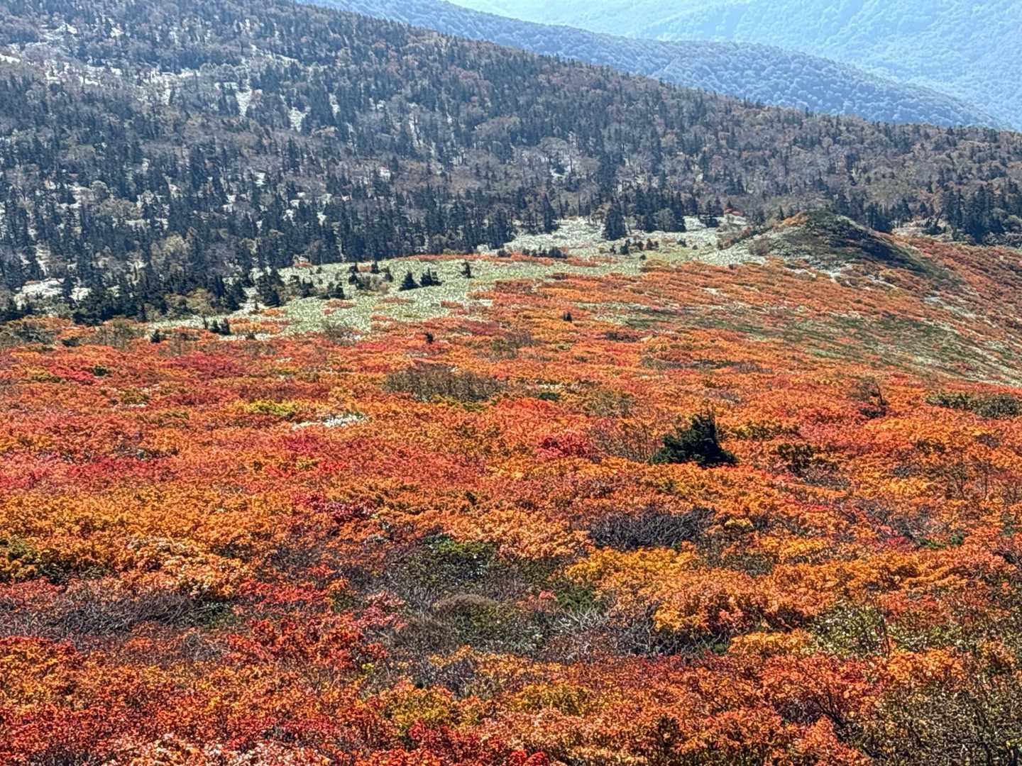 第3リフト降場-大松倉山-三ツ石山 往復コースの写真