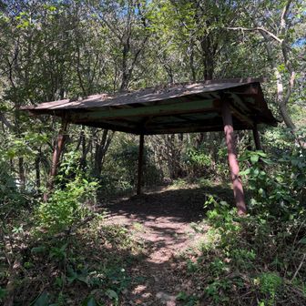 また山道に入るのかと思ったのですが、単にこの東屋への道だったようです。