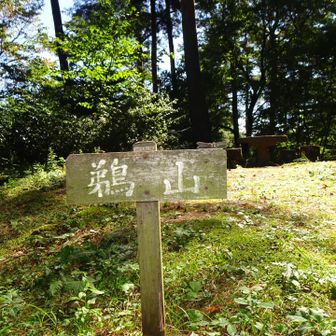 鵜山
ここで一つピークを見過ごしてきたことに気づいていったん戻ります