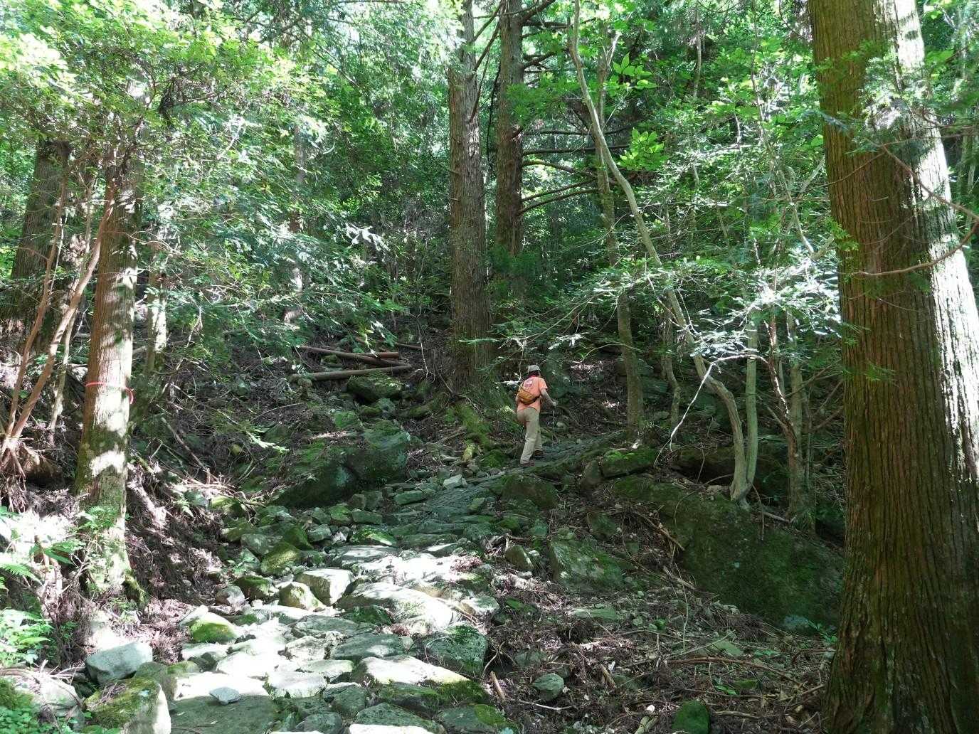 今日は夫婦登山です😚