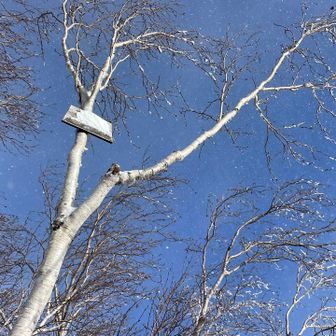 高い所に小さな標識