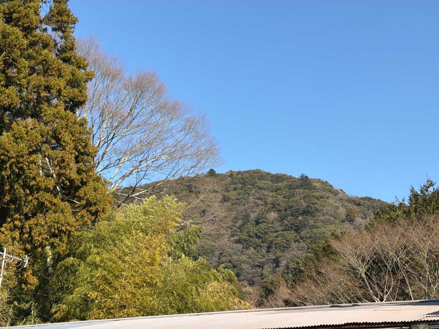 日向山