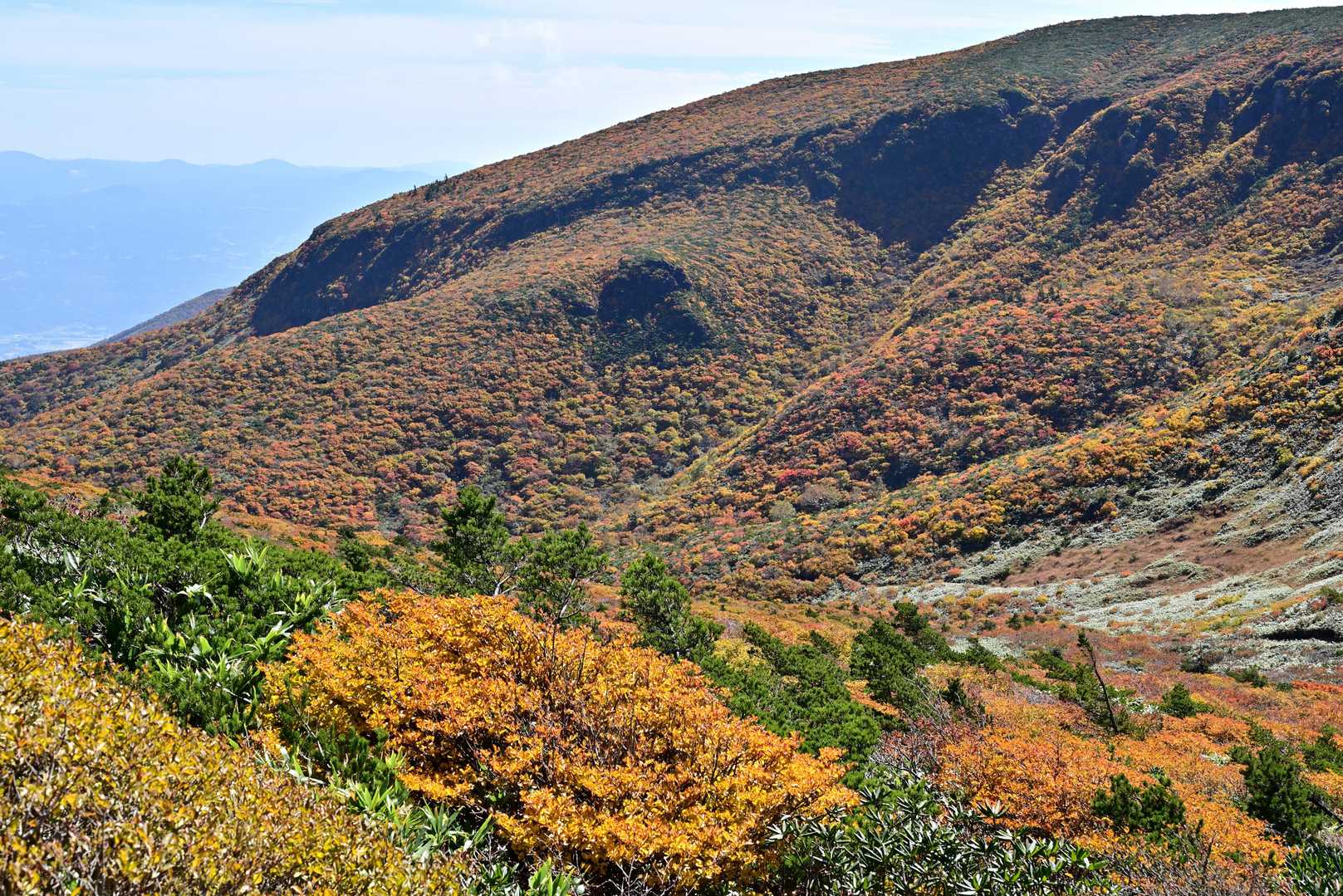箕輪山への登りで振り返るとコレ。