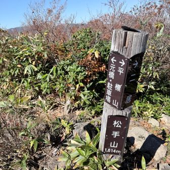 ここでようやく稜線に出ます