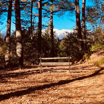 いい所にあるよね♪‥座れなかったけど