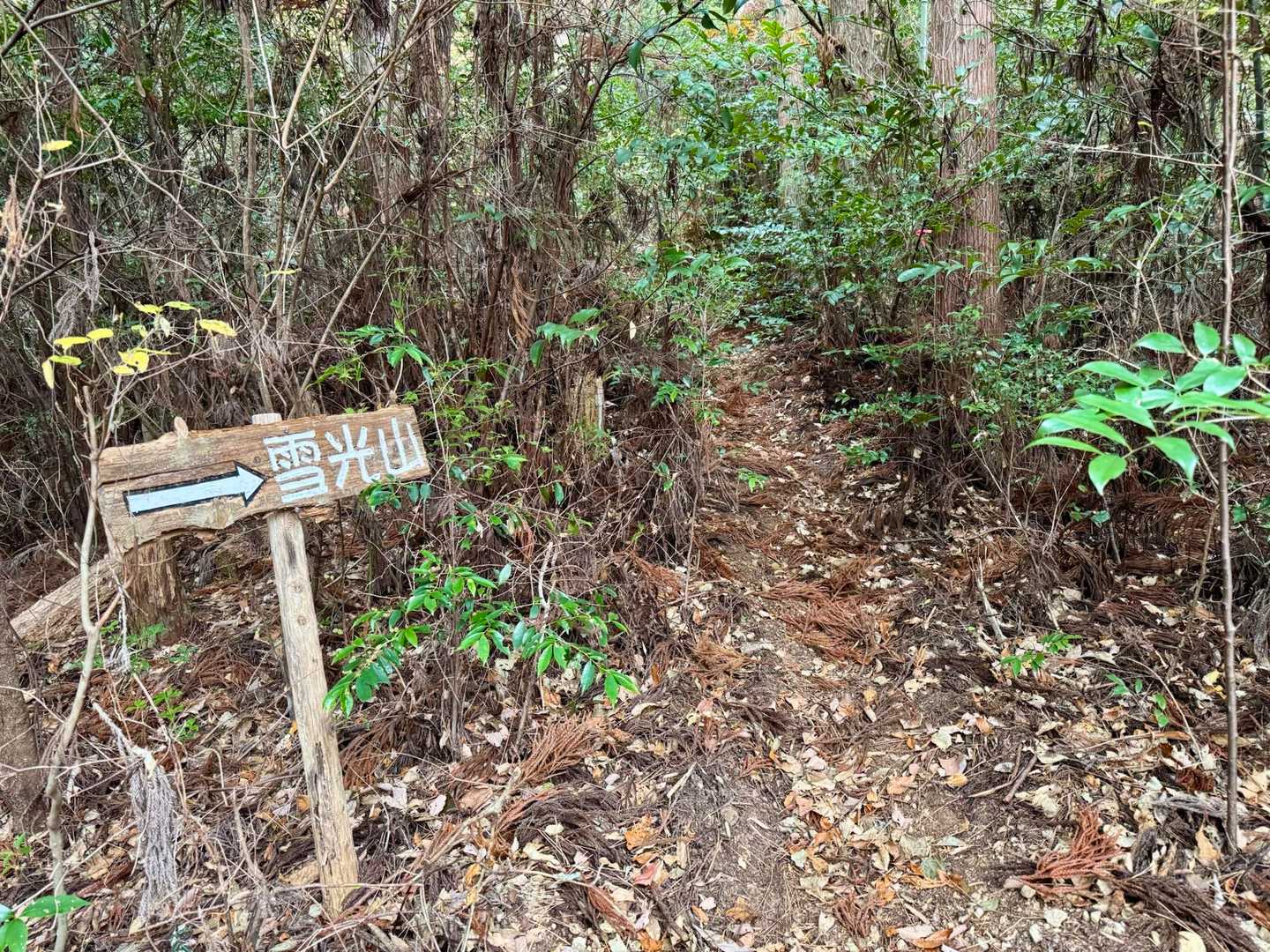 敷ノ山分岐