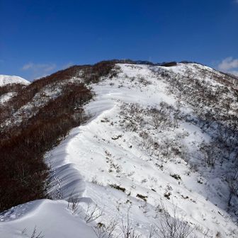大源太山へ
トレースあり
