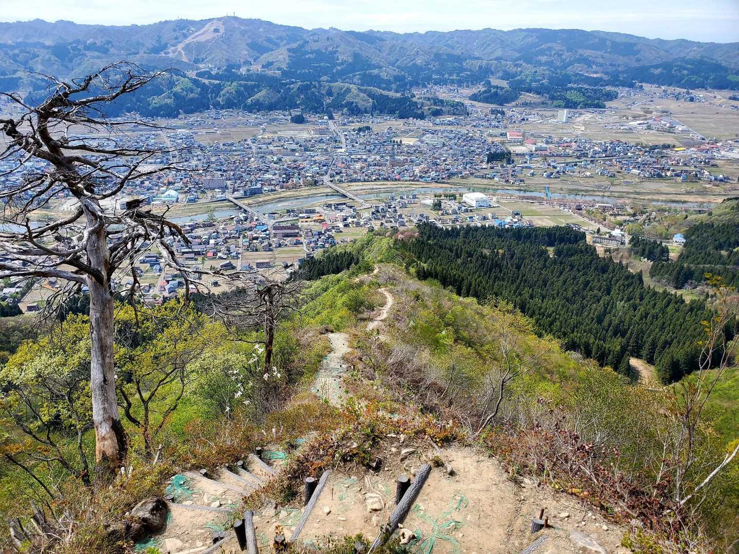 こちらは、ずっと段差の深い階段。
下りは、ひさがやられます。
かといって、登りもかなりキツそうよ💦