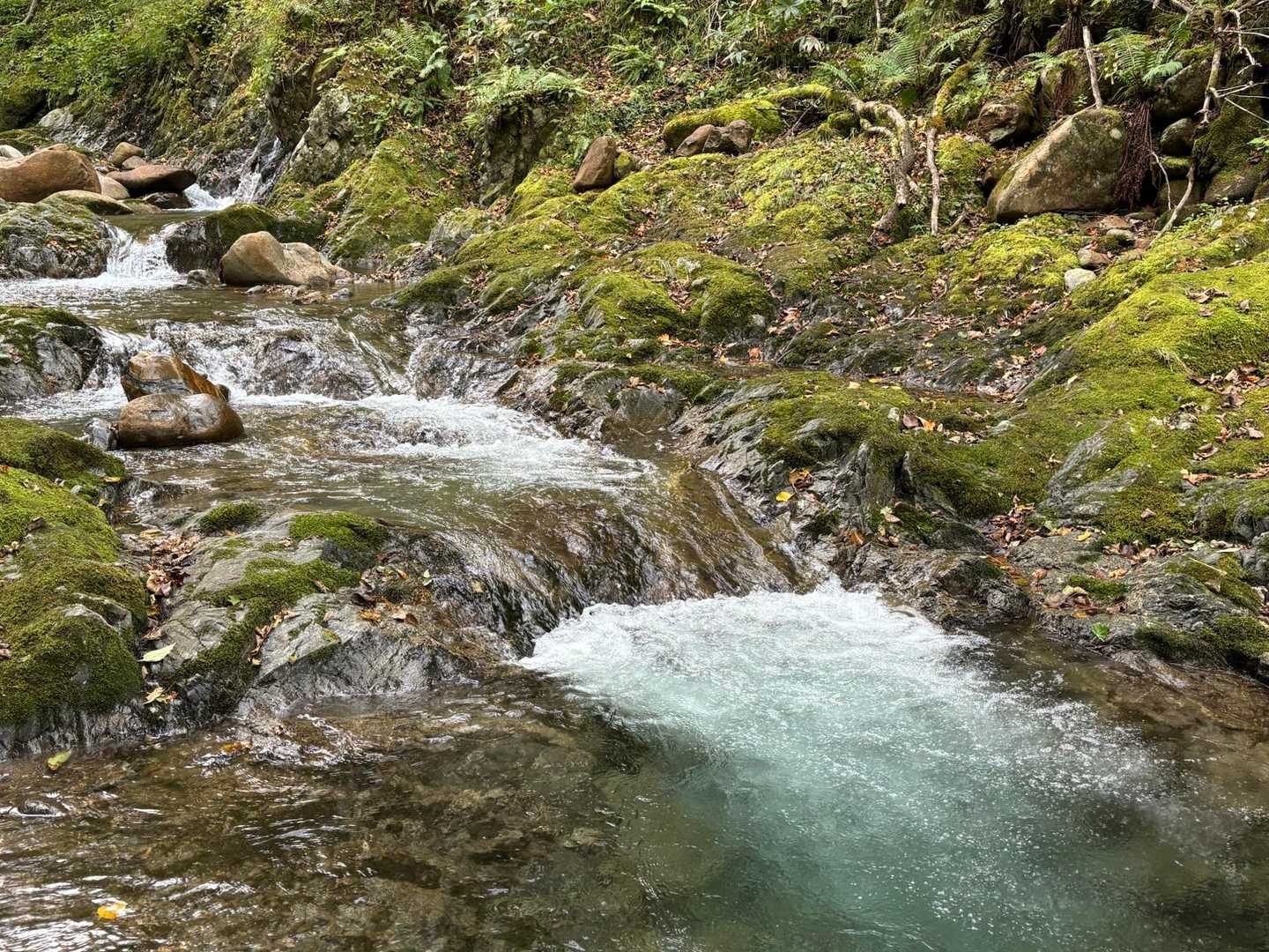 神威岳 往復コースの写真