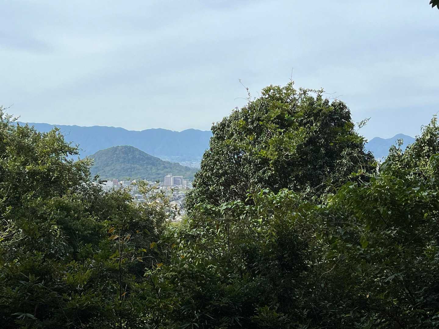 香具山から畝傍山を望む