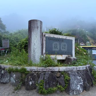 向場コースに
