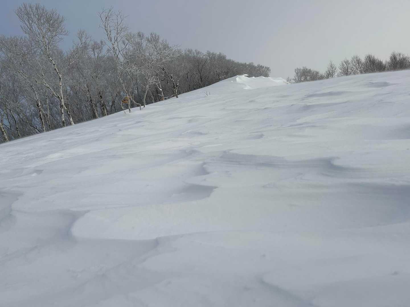 風紋
風が吹き抜けている感じ😅雪の表面は固く、中は柔らかくて、踏んだ後に雪の固まりがスノーシューに絡まり、重くて、力を使いました🤣
登りで2回転けました😅