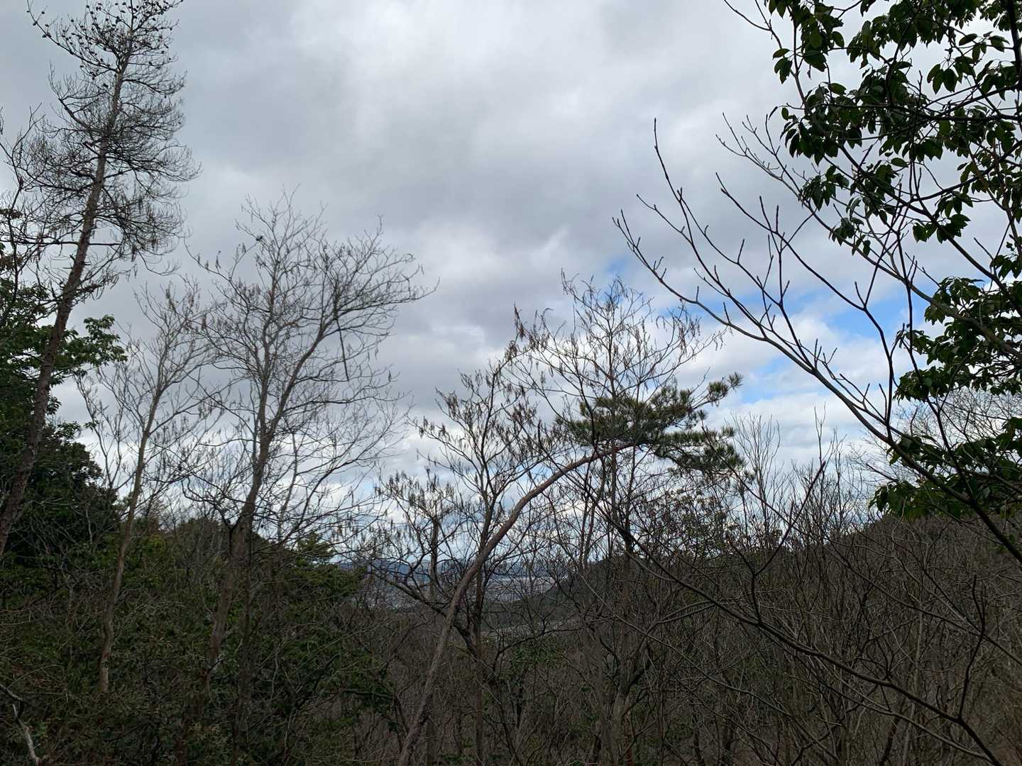 高瀬山登山口-高瀬山 往復コースの写真