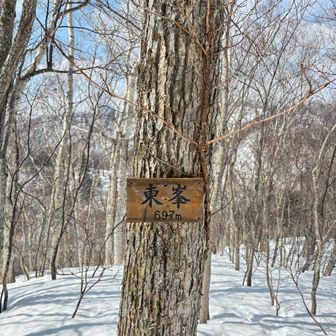 東峰に着きました。
看板です、釘打ちだったので樹が太り、釘がめり込み、看板がぐらぐら外れそうになってました。