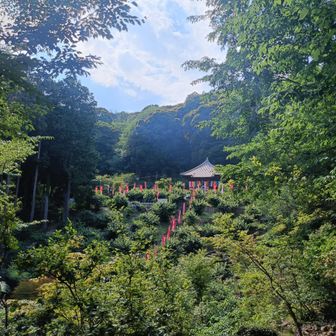 高台から見た清水寺