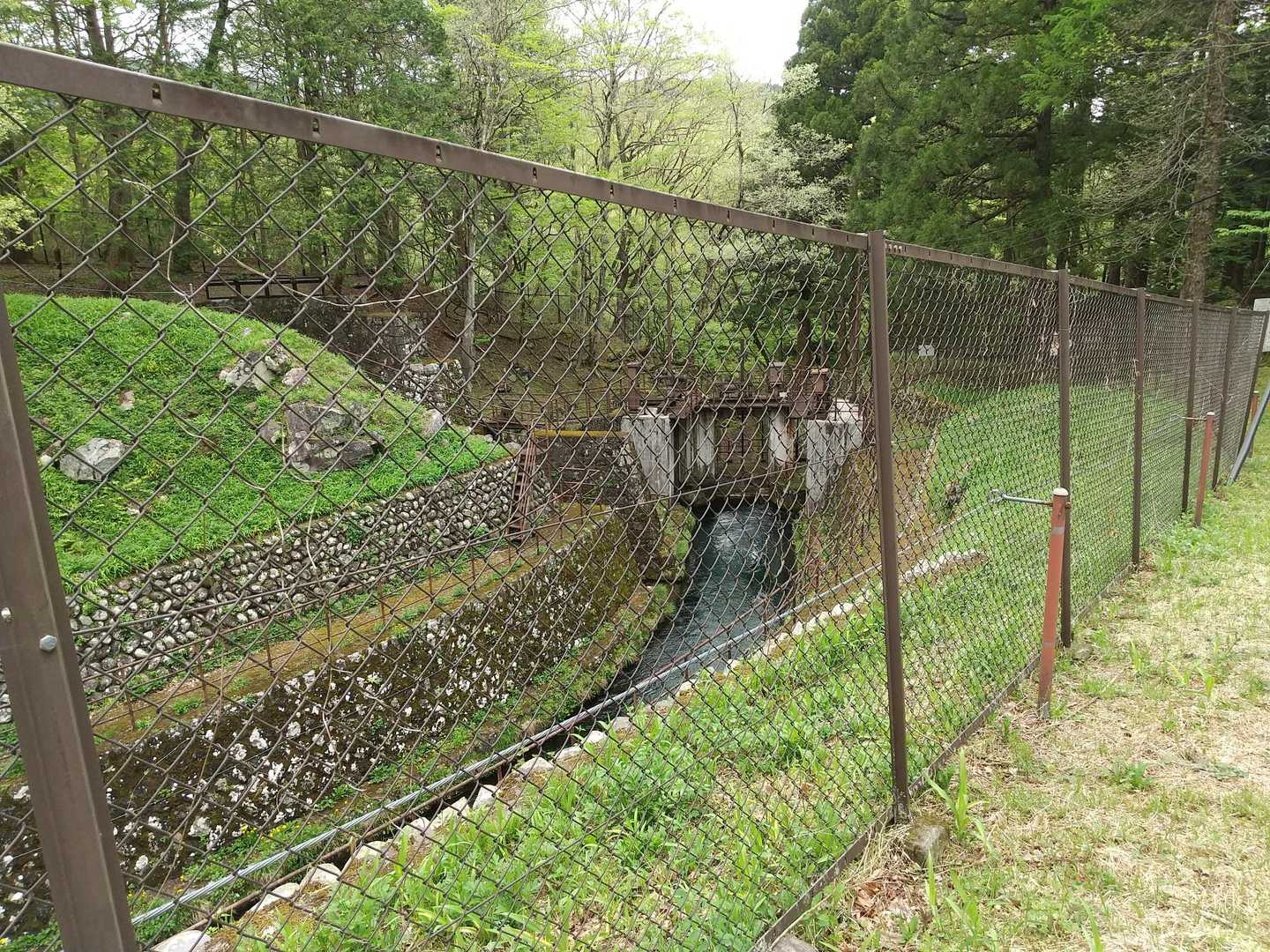 鳴虫山登山口-神ノ主山-鳴虫山-合峰-独標 縦走コースの写真
