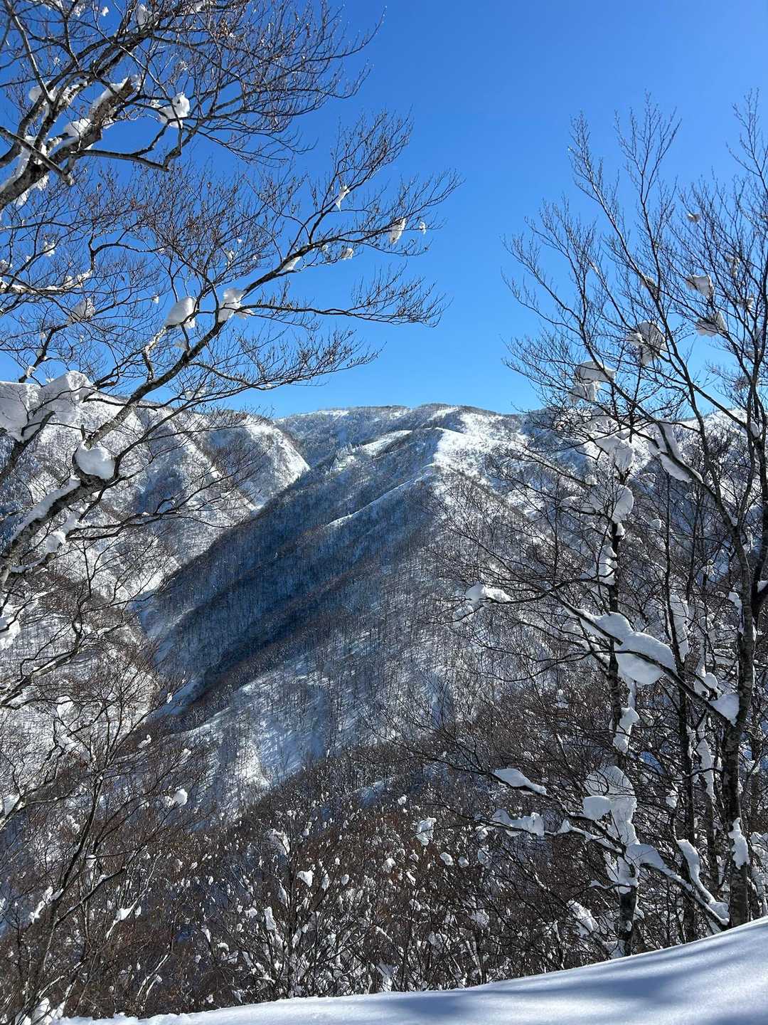 金剛堂山冬期登山口-片折岳 往復コースの写真