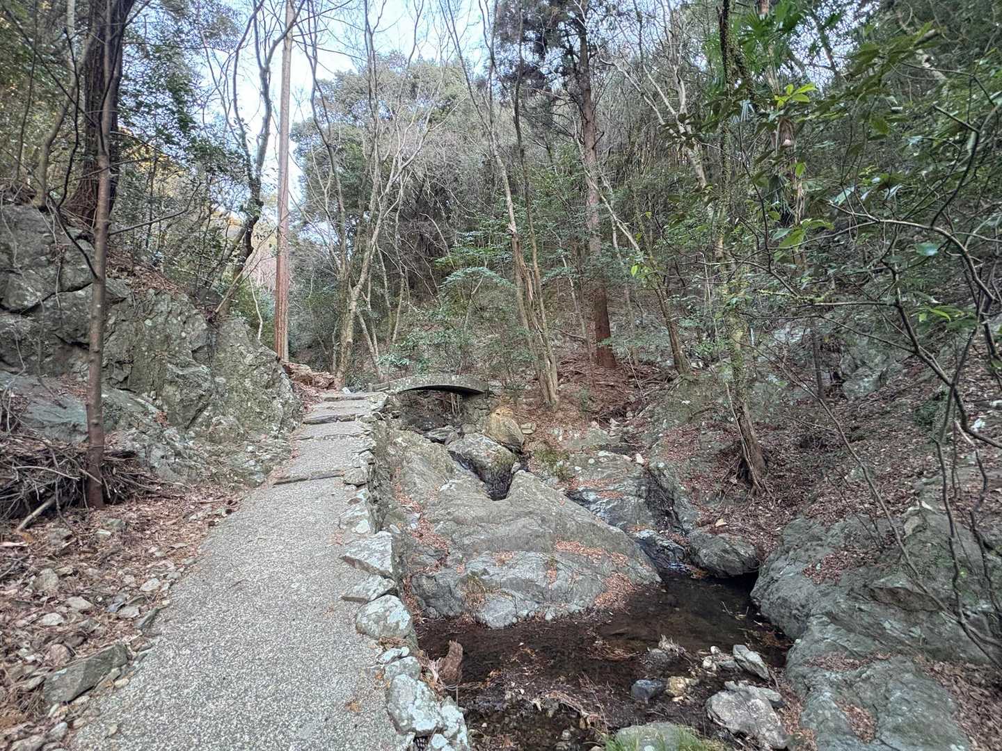水ヶ城山-羽衣山-三ツ頭-ツルガ山 周回コースの写真