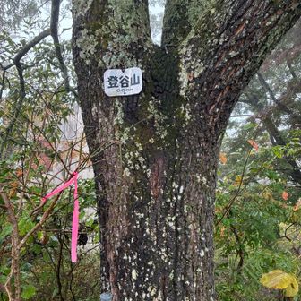 登谷山15座目
そして七峰制覇！
こちらで本日のピーク終了！