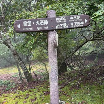 地味な九十九折を登り続け、旧御坂峠に到着。