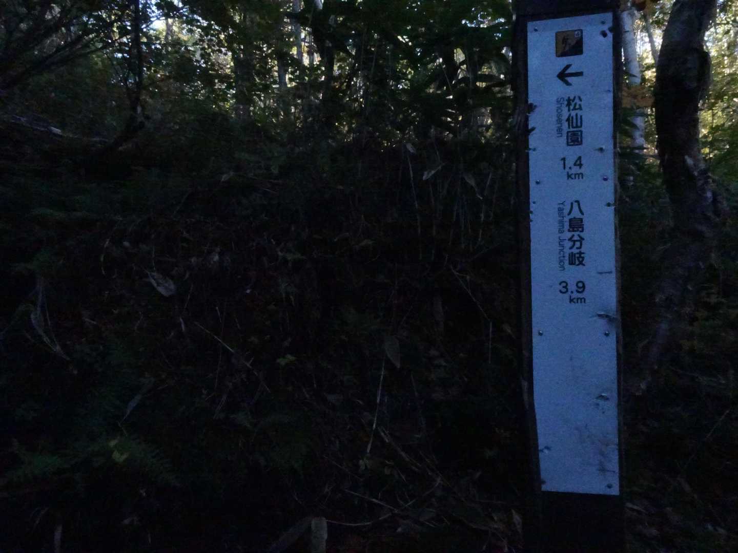 分岐でこの時は永山岳に向かう気分