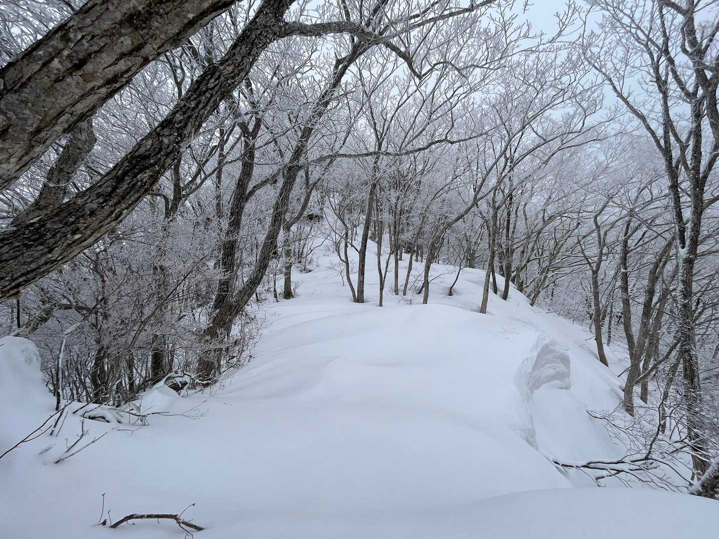 ようやく上がってきた