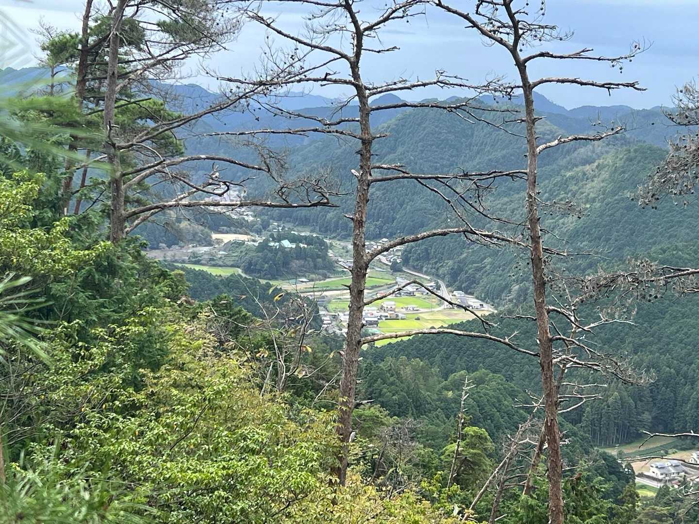 天神神社登山口-女夫山-松本峠-城山-先谷登山口 縦走コースの写真