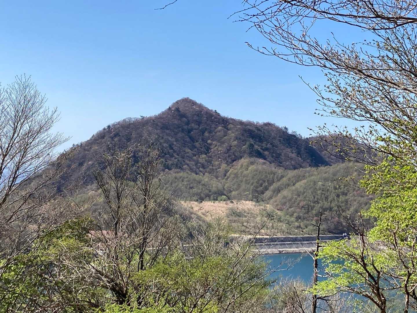 道中からの月山