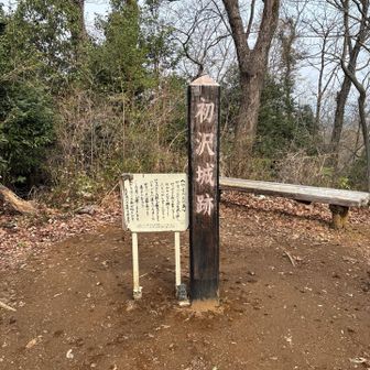 初沢山山頂。山頂には城があったようです。