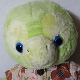 🐢😺よっしー😺🐢