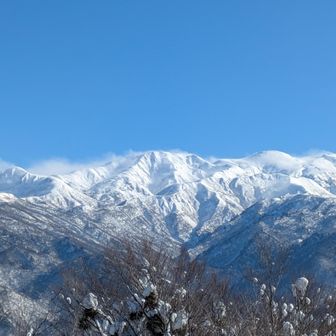はくさーん🤩見惚れてしまう