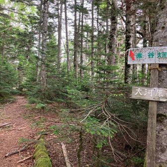 分岐🪧ここから直ぐの前掛山へ向かいます。