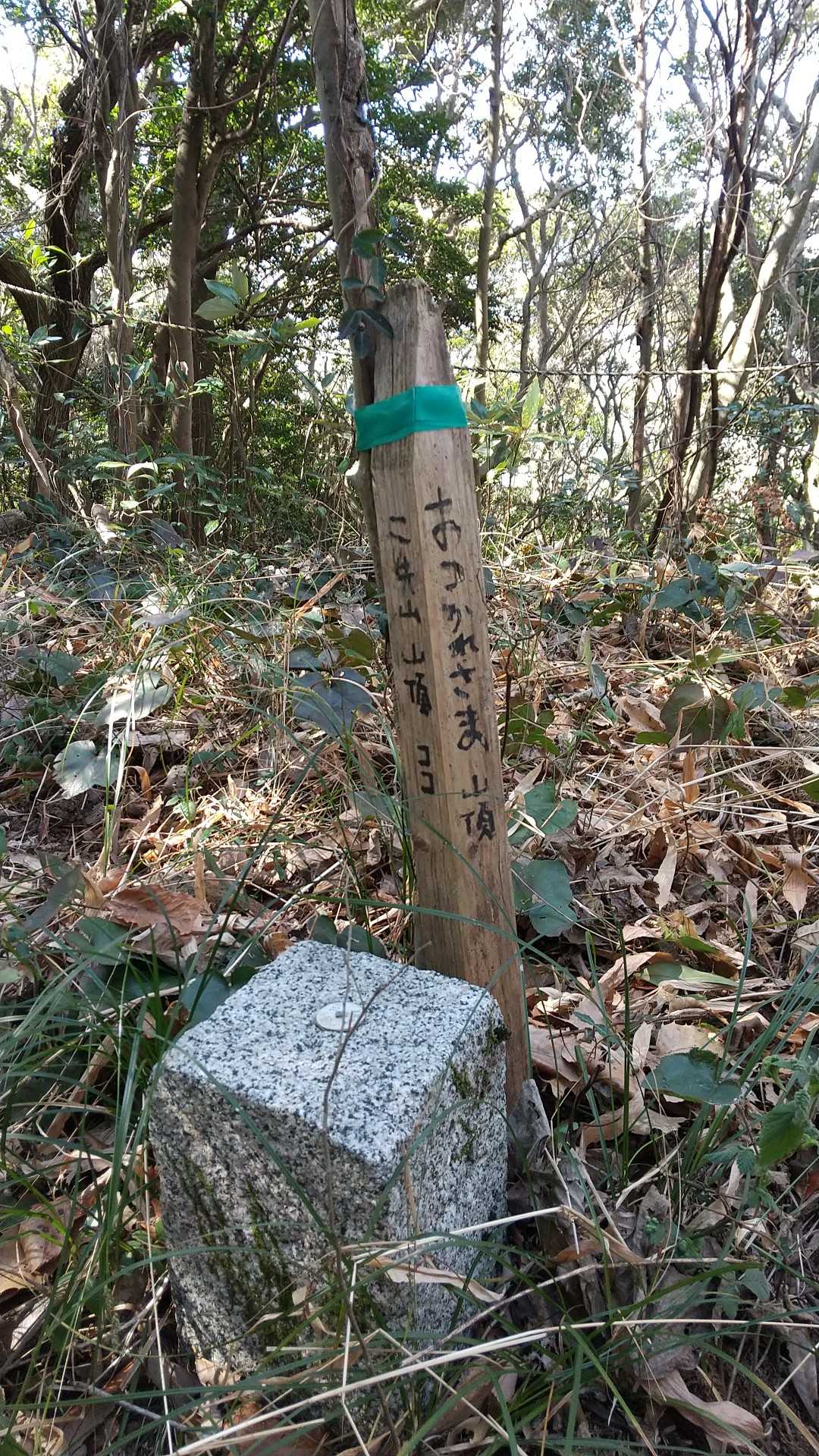 二先山さんちょ～。
控えめな山頂標柱あり。