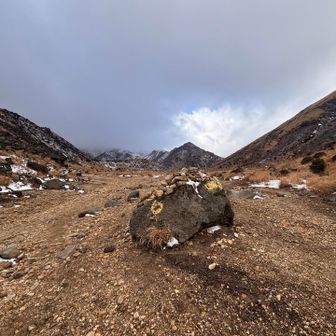 ざぶい(꒦ິ⌑꒦ີ)