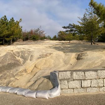 最初の下りた所をまた上がって、ここから登る。