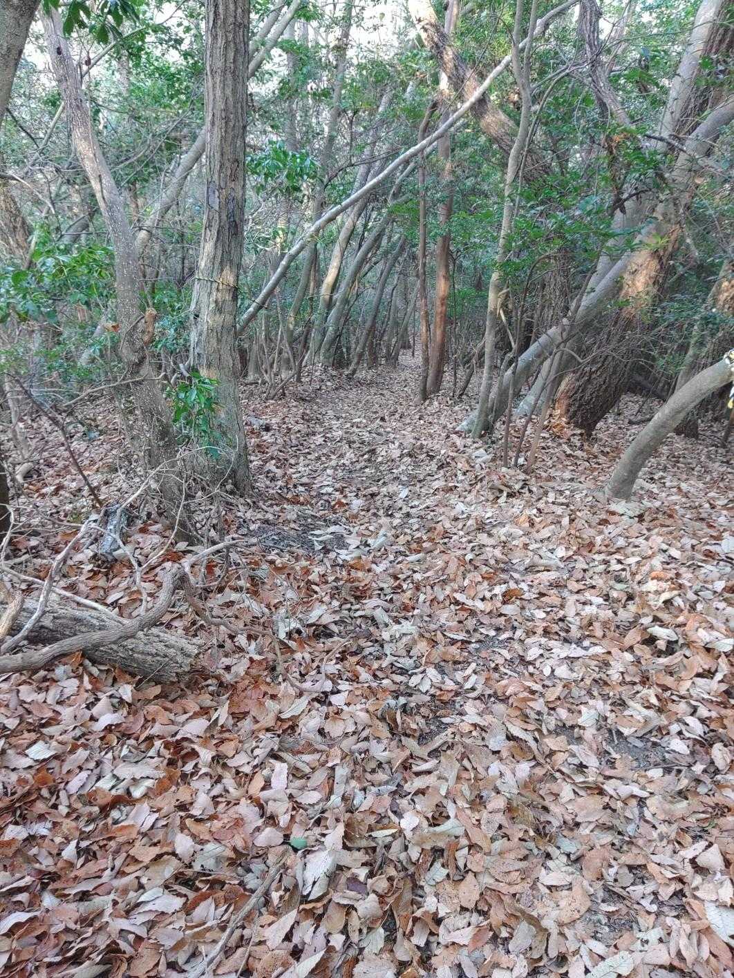 下りも長く感じます🦖
ひたすら激下り🤕