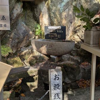 お賽銭は中央の水が入った石の中へ
簡単に入ると思ったら
跳ね返って下に落ちてしまい😆
なんと2回目にしてポチャとin、😁
