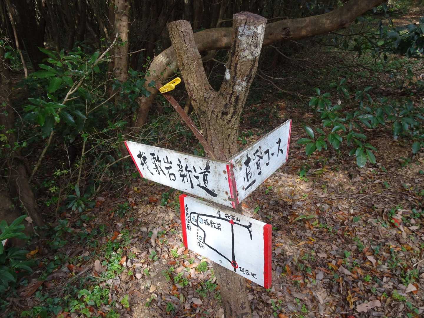 衣笠山 往復コースの写真