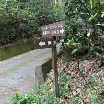 登山道終了！
ココから舗装路歩き