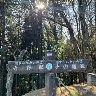 もうすぐ子の権現