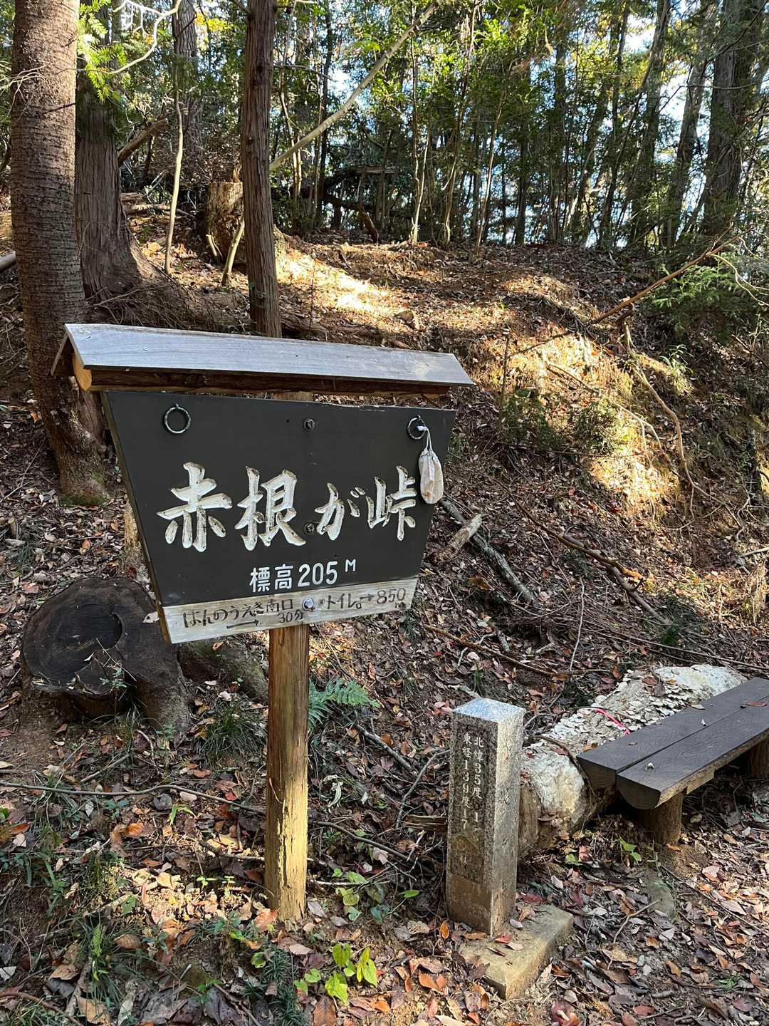 赤根ヶ峠